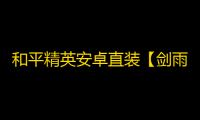 和平精英安卓直装【剑雨直装】辅助