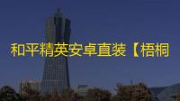 和平精英安卓直装【梧桐树直装】辅助